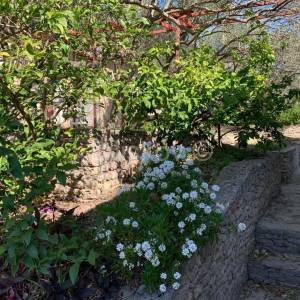 Kastela, Kastel Luksic, samostojeca kuca i cca. 3.000 m2 zemljista.