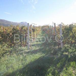 Kaštela, Kaštel Stari, građevinsko zemljište.