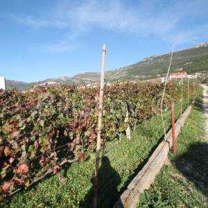 Kaštela, Kaštel Stari, građevinsko zemljište.