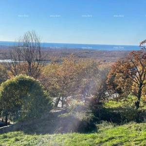 Kaštelir – građevinsko zemljište, 603 m2, s pravomoćnom građevinskom dozvolom i pogledom na more