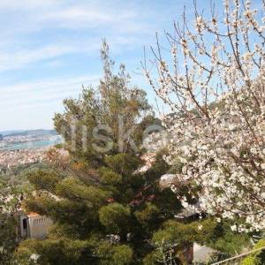 Klis samostojeća kuća sa 4 stambene jedinice bazen pogled 