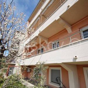 Klis samostojeća kuća sa 4 stambene jedinice bazen pogled 