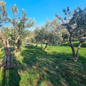K.Novi, prodaja, poljop.zemljište 90m od granice građ. zone