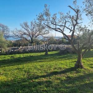 K.Novi, prodaja, poljop.zemljište 90m od granice građ. zone