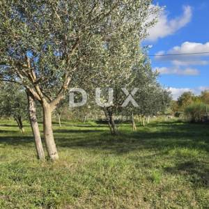 Kopija od ISTRA, POREČ - Zemljište za gradnju dviju kuća nadomak Svetog Lovreča - mir i autentičnost Istre