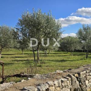 Kopija od ISTRA, POREČ - Zemljište za gradnju dviju kuća nadomak Svetog Lovreča - mir i autentičnost Istre