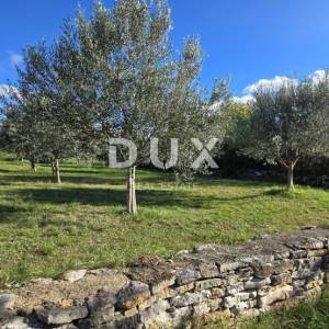 Kopija od ISTRA, POREČ - Zemljište za gradnju dviju kuća nadomak Svetog Lovreča - mir i autentičnost Istre