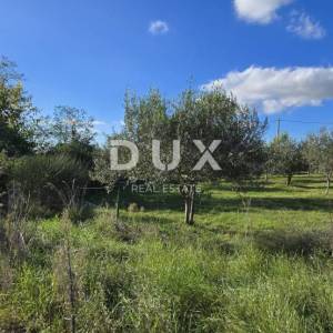 Kopija od ISTRA, POREČ - Zemljište za gradnju dviju kuća nadomak Svetog Lovreča - mir i autentičnost Istre