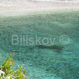 Korčula 1.red moderna vila s bazenom, vez za brod, prodaja