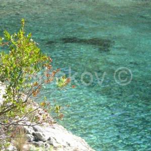 Korčula 1.red moderna vila s bazenom, vez za brod, prodaja