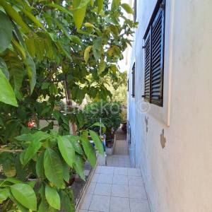 Korčula, Račišće, prodaja, samostojeća kuća