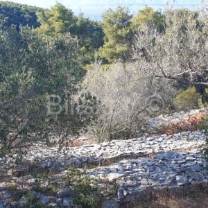 Korčula, Vela Luka, prodaja zemljišta 1. red