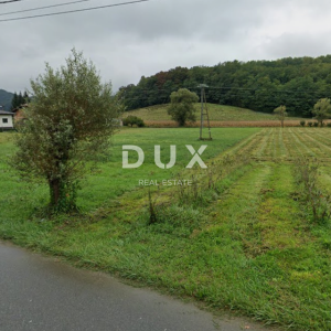 KRAPINA, GORNJA PAČETINA - Zemljište pred urbanizacijom