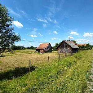 Križ, imanje 10130 m2, kuća i pomoćni objekt