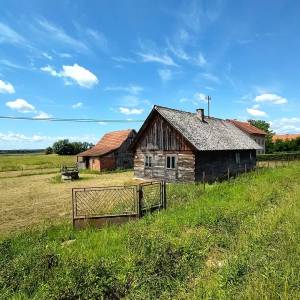 Križ, imanje 10130 m2, kuća i pomoćni objekt