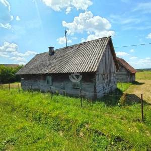 Križ, imanje 10130 m2, kuća i pomoćni objekt