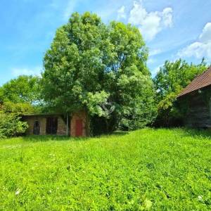 Križ, imanje 12200 m2 sa objektima i priključcima (neaktivnim)