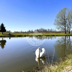 Križ, Vezišće, kuća 30 m2 - uporabna+energetski, zemljište 1104 m2, 26.000 eur