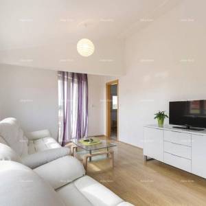 Kuća s bazenom, VALBANDON 2 km do centra Fažane