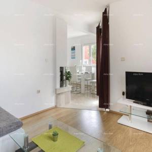 Kuća s bazenom, VALBANDON 2 km do centra Fažane