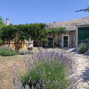 Kuća s predivnim dvorištem u Lozovcu, 789 m2