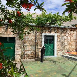 Kuća s predivnim dvorištem u Lozovcu, 789 m2