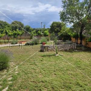 Kuća s predivnim dvorištem u Lozovcu, 789 m2