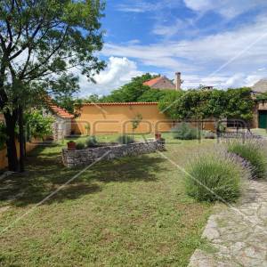 Kuća s predivnim dvorištem u Lozovcu, 789 m2