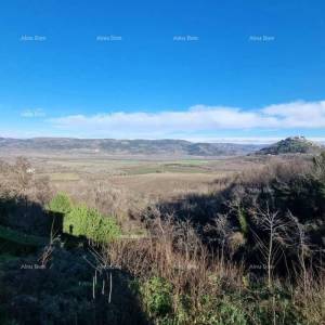 Kuća s predivnim pogledom na Motovun