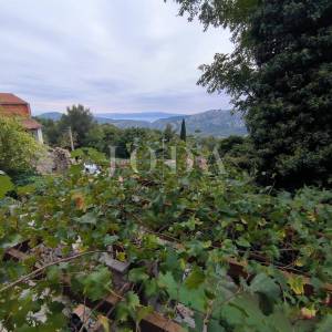 Kuća sa dva adaptirana apartmana i starina za adaptaciju