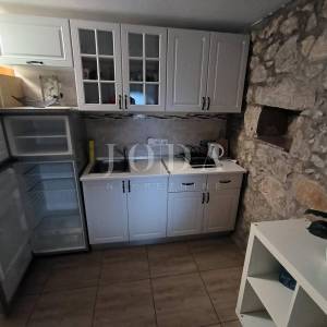 Kuća sa dva adaptirana apartmana i starina za adaptaciju