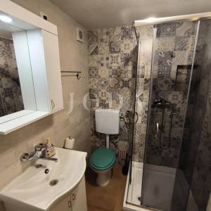 Kuća sa dva adaptirana apartmana i starina za adaptaciju