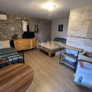 Kuća sa dva adaptirana apartmana i starina za adaptaciju