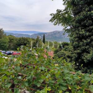 Kuća sa dva adaptirana apartmana i starina za adaptaciju