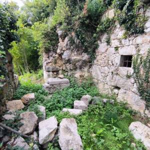 Kuća sa dva adaptirana apartmana i starina za adaptaciju