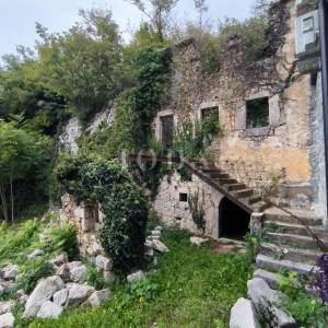 Kuća sa dva adaptirana apartmana i starina za adaptaciju