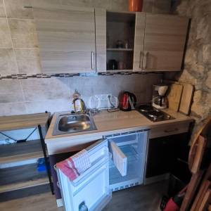 Kuća sa dva adaptirana apartmana i starina za adaptaciju