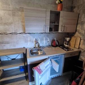 Kuća sa dva adaptirana apartmana i starina za adaptaciju