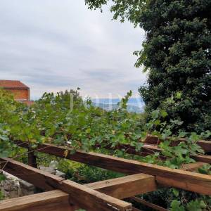 Kuća sa dva adaptirana apartmana i starina za adaptaciju