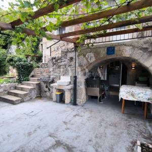 Kuća sa dva adaptirana apartmana i starina za adaptaciju