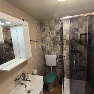 Kuća sa dva adaptirana apartmana i starina za adaptaciju