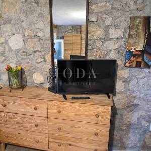 Kuća sa dva adaptirana apartmana i starina za adaptaciju