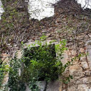 Kuća sa dva adaptirana apartmana i starina za adaptaciju