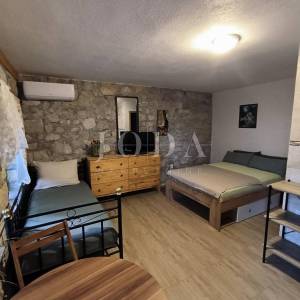 Kuća sa dva adaptirana apartmana i starina za adaptaciju