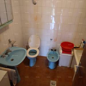 Kuća u Marčani sa velikom parcelom.