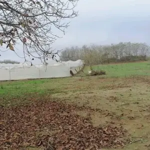 Kuče građevinsko zemljiste