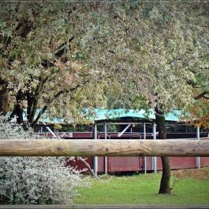 Ližnjan,prekrasno imanje u Istri.