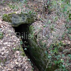 Ližnjan,prekrasno imanje u Istri.