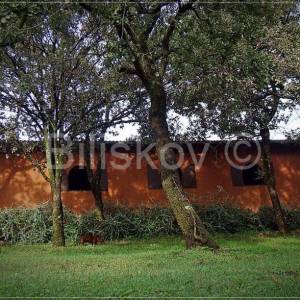 Ližnjan,prekrasno imanje u Istri.