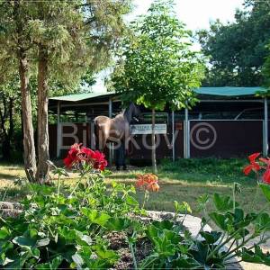 Ližnjan,prekrasno imanje u Istri.